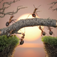 Illustration for article titled Fanciful photos reveal the whimsical secret lives of ants